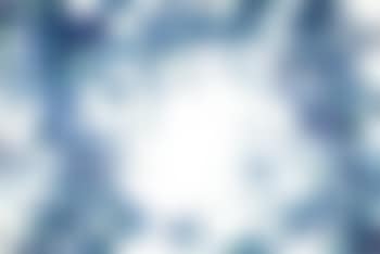 White bone (preview)