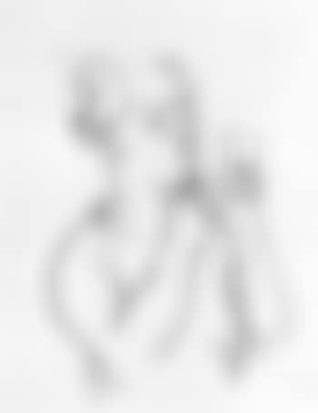 Clown with mirror (preview)