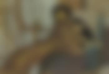 Madame Lucie Hessel et son chien Basto (preview)
