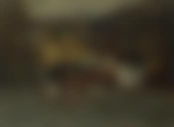Madame Vuillard cousant (preview)