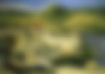 Paysage (preview)