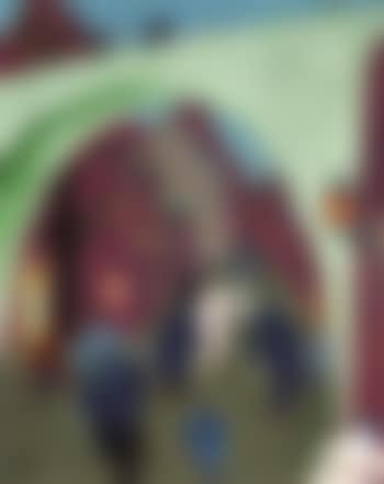 Die grune brucke (preview)