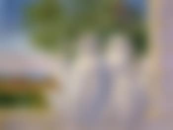 Image a la fenetre (preview)