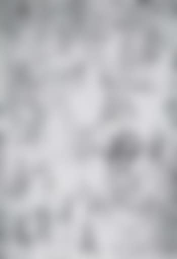 Studies of figures (preview)