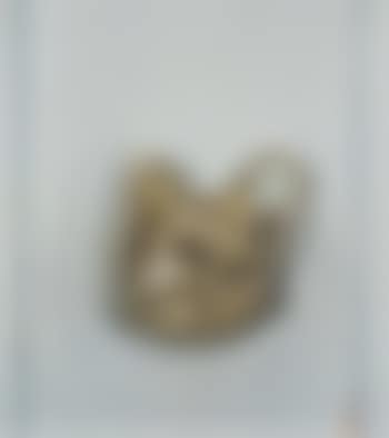 Nature morte (preview)