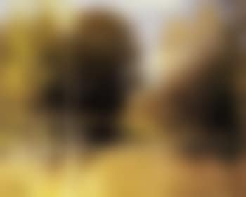 Le berger (preview)