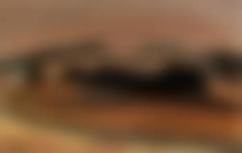 Les bois (preview)