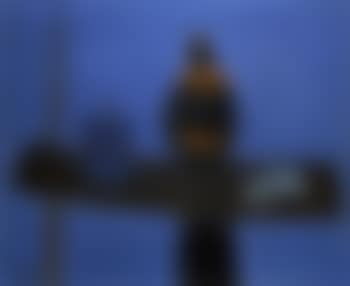 Nature morte en bleu (preview)
