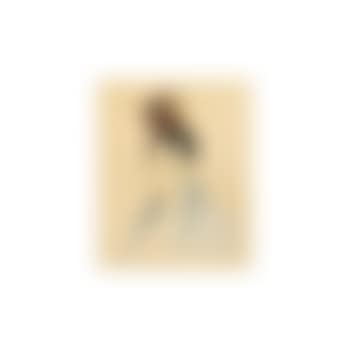 Espagnole (preview)