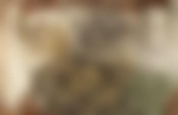 Le chien chinois (preview)