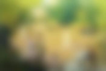 Tennis match (preview)