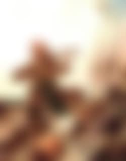 Off to the Rio Grande (preview)