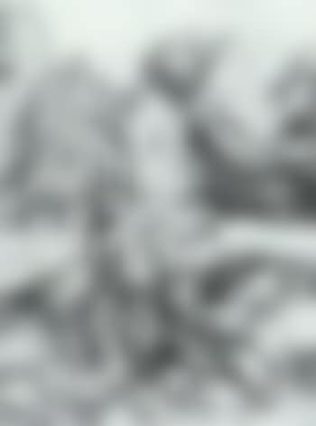 Prodigal Son amid the Swine (preview)