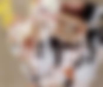 Catch (preview)