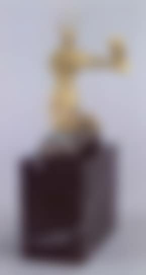 Saint Carlo Borromeo (preview)