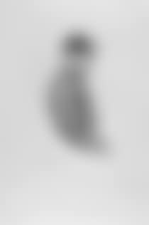 Study of Nightinghall (preview)
