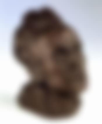 Self portrait (preview)