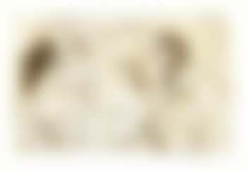 Homme barbu avec une femme nue (preview)