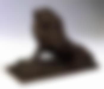 Lion qui pleure (preview)