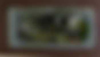 Composition (preview)