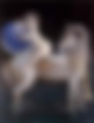 Junge mit pferd (preview)