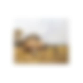 Barley cart (preview)