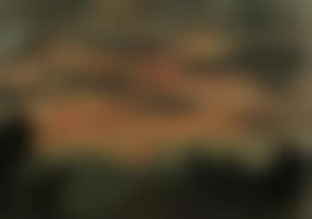 View of a sunset (preview)