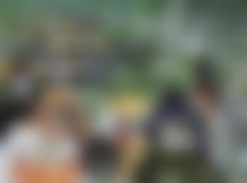 Carnival characters (preview)