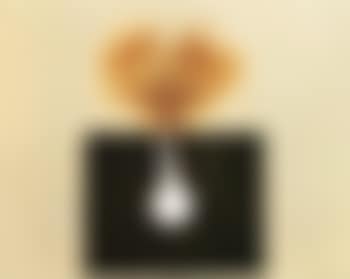 Estallido (preview)