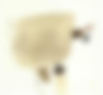 Untitled (preview)