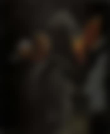 Untitled (preview)