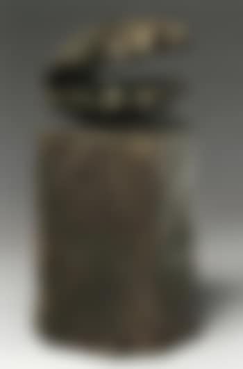 Auster, oyster (preview)