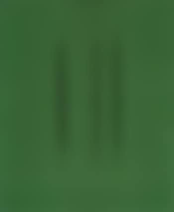 Concetto spaziale, Attese (preview)