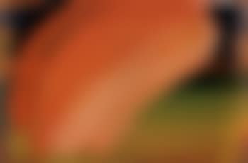 Dawn (preview)