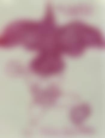 The beautiful white bird (preview)