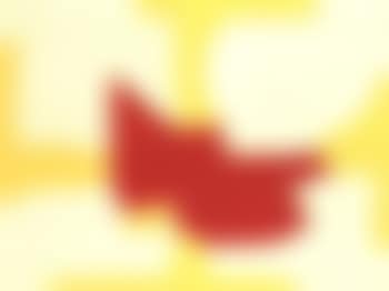 Composition (preview)