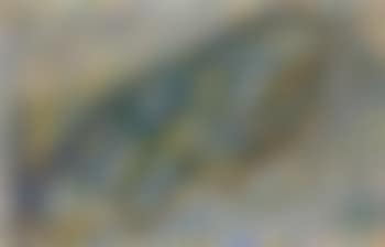 Composition (preview)
