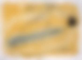 Le lezard aux plumes d'or (preview)