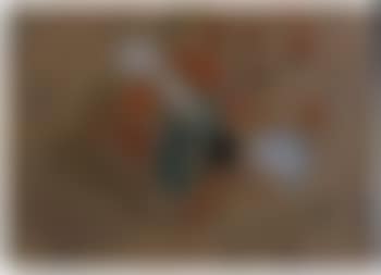 Composition (preview)