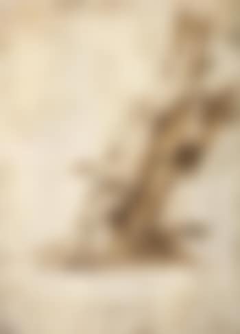 Saint Sebastian tied to a tree, looking up to the right (preview)