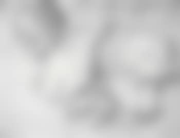 Woman with deep decolletage (preview)
