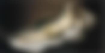 Maja desnuda (preview)