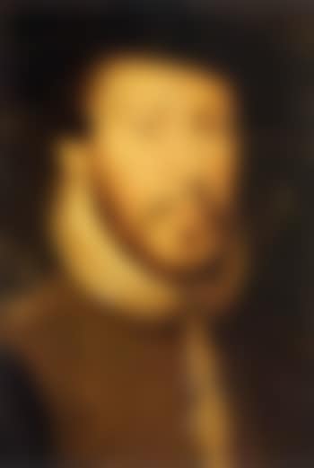 Portrait of gentleman wearing a brown doublet (preview)