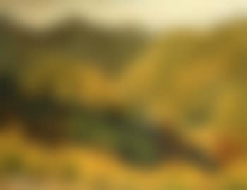 Landscape, Diana's Peak, St. Helena (preview)