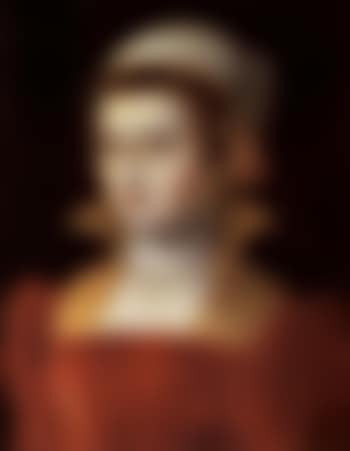 Portrait of a lady in a red bodice (preview)