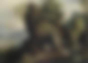 Wooded landscape with the flight into Egypt. Rocky landscape with Saint Jerome (preview)