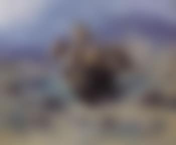 Buffalo hunt (preview)