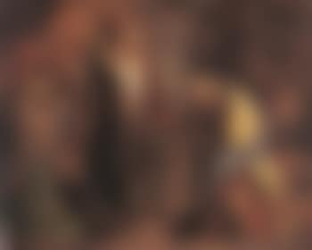 The submission (preview)