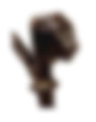 Chair with lion head. Chair. (preview)