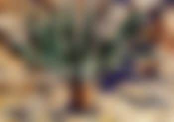 Hyacinths (preview)